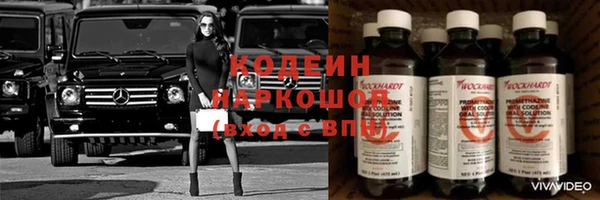 прущие грибы Балабаново