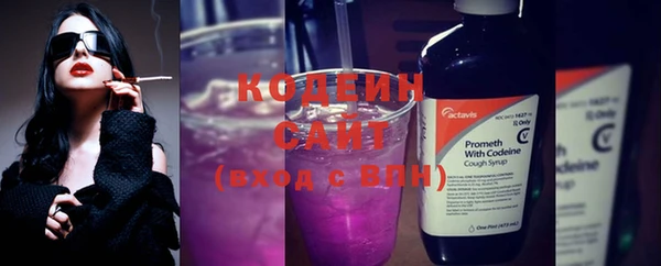 прущие грибы Балабаново