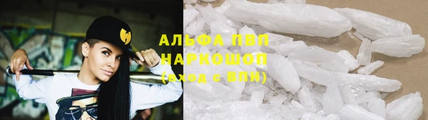 прущие грибы Балабаново