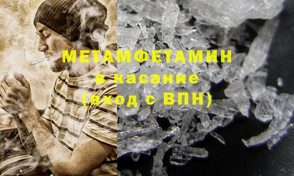 прущие грибы Балабаново