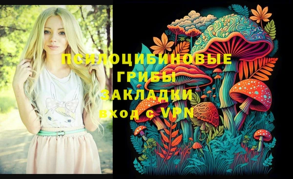 герыч Балахна