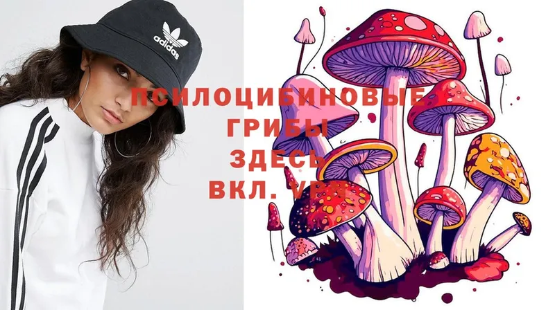 Галлюциногенные грибы MAGIC MUSHROOMS  Белоусово 